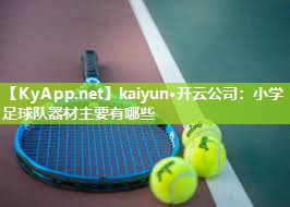kaiyun·开云公司:小学足球队器材主要有哪些