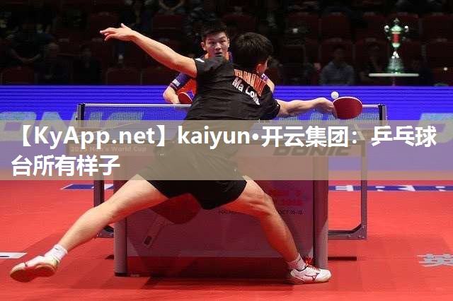 kaiyun·开云集团:乒乓球台所有样子