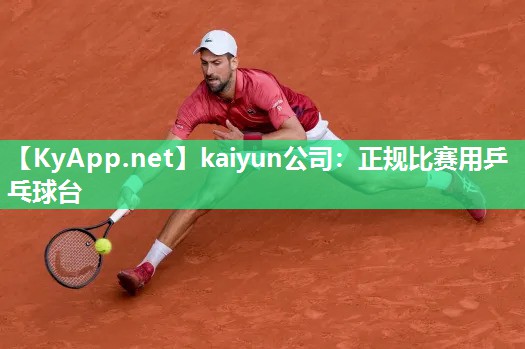 kaiyun公司:正规比赛用乒乓球台