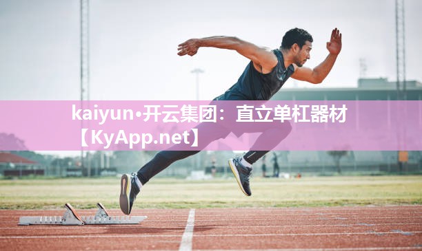 kaiyun·开云集团:直立单杠器材