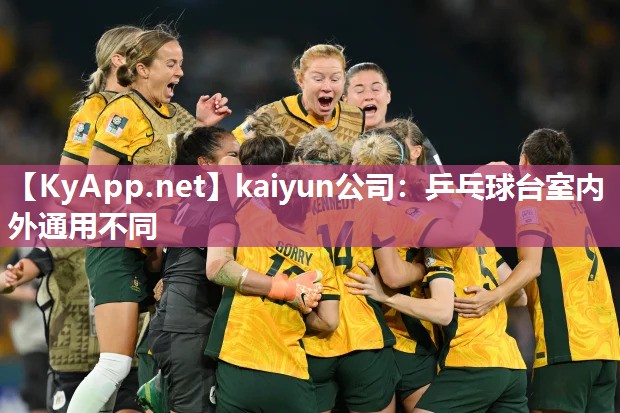 kaiyun公司:乒乓球台室内外通用不同