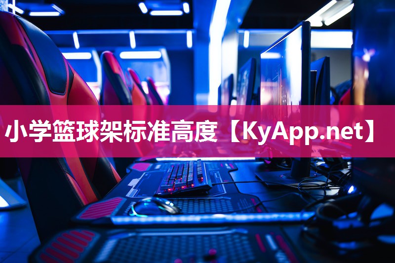 小学篮球架标准高度